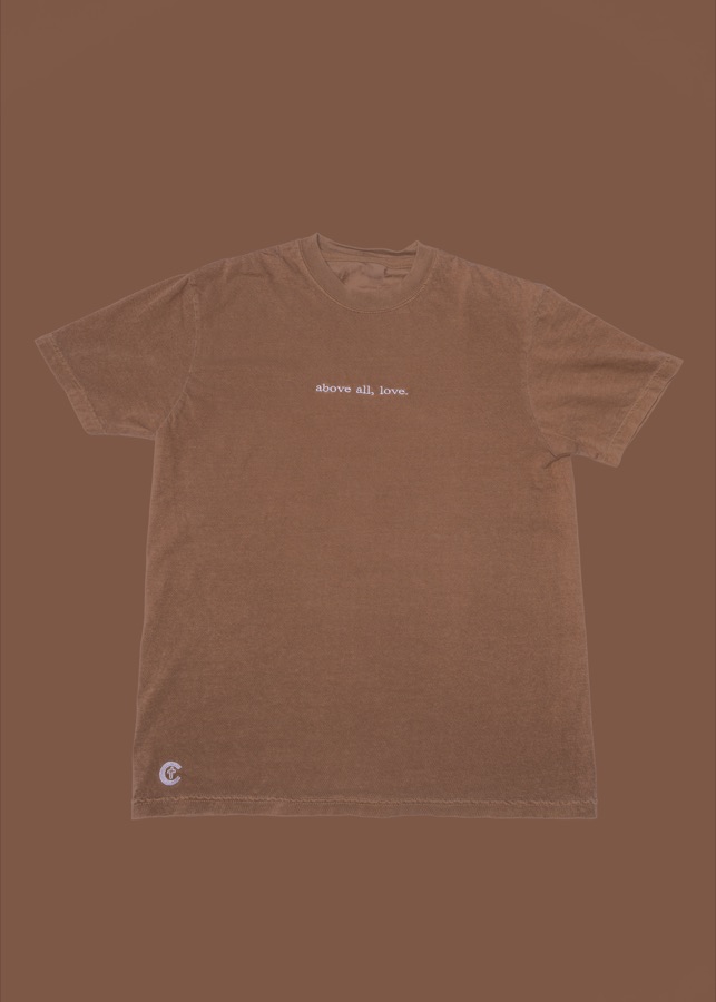 The Everyday T-shirt in espresso brown